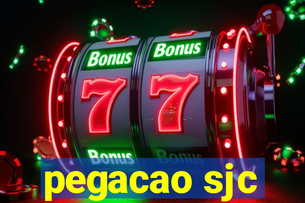 pegacao sjc